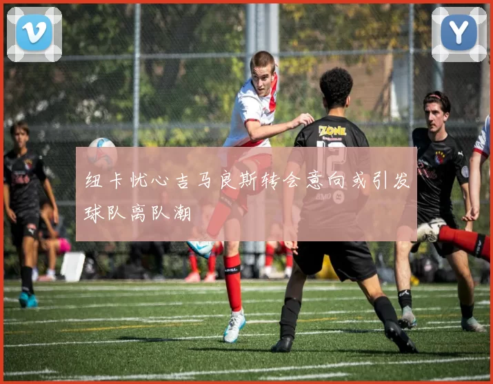 纽卡忧心吉马良斯转会意向或引发球队离队潮