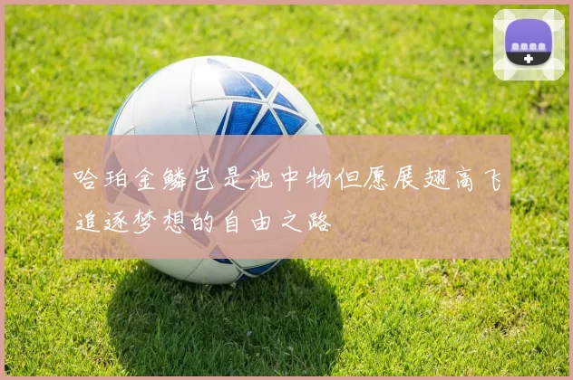 哈珀金鳞岂是池中物但愿展翅高飞追逐梦想的自由之路